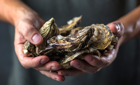 Toxicity in Shellfish | What is Shellfish Poisoning?
