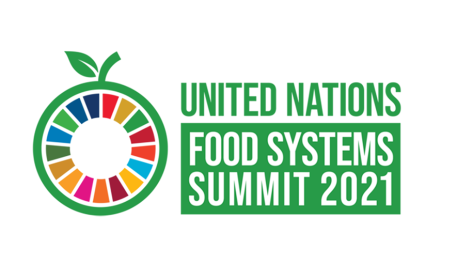 Transforming Our Food System | The UN Food Systems Summit