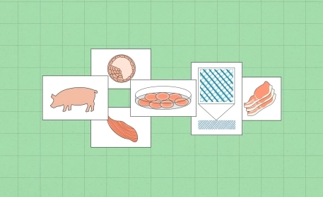 Lab-Grown Meat, the Idea That (almost) Changed the World
