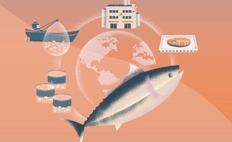 Sustainable Seafood: Barriers and Opportunities in the Fishing Industry