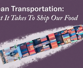 Ocean_Transportation-_How_Container_Shipping_Works_For_Food.webp