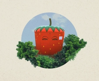 Strawberries_banner.webp