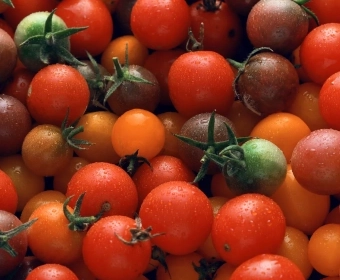 Tomatoes_Cost_of_Production_Thumb_new.webp