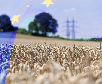 EU Common Agricultural Policy | 4 Things to Know About Farming Subsidies