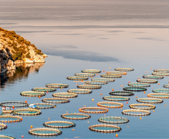 Farmed Fish | The ASC Certification Label | Buying Sustainable Aquaculture