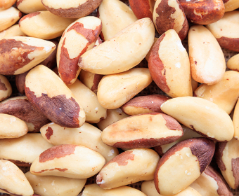 The Brazil Nut | How It’s Grown