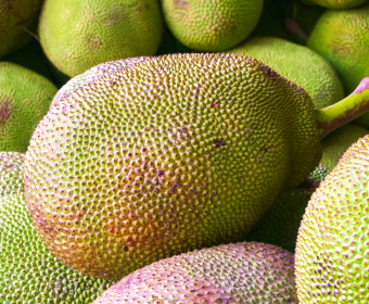 Where Does Jackfruit Come From and How Is It Grown? 