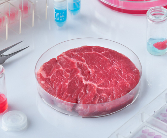 Cultured Meat: Better Than The Real Thing? 