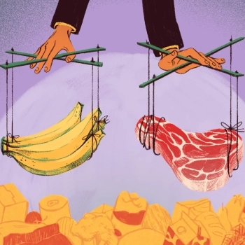 How Does Lobbying Impact our Food and Agricultural Policies?