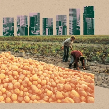 Why Producing More Food Doesn’t Mean Less Hunger