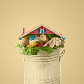 5 Tips to Reduce Household Food Waste