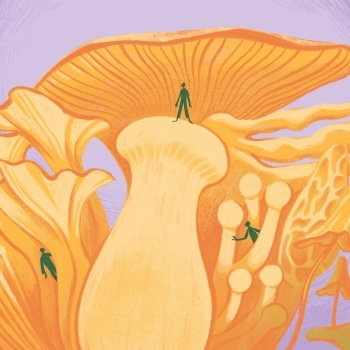 Mycophobia and the Lost Knowledge of the Fungi Kingdom