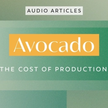 Avocado: The Cost of Production | FoodUnfolded AudioArticle