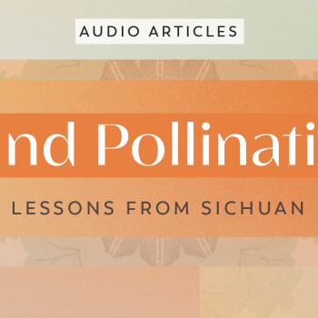 Hand Pollination: Lessons From Sichuan | FoodUnfolded AudioArticle