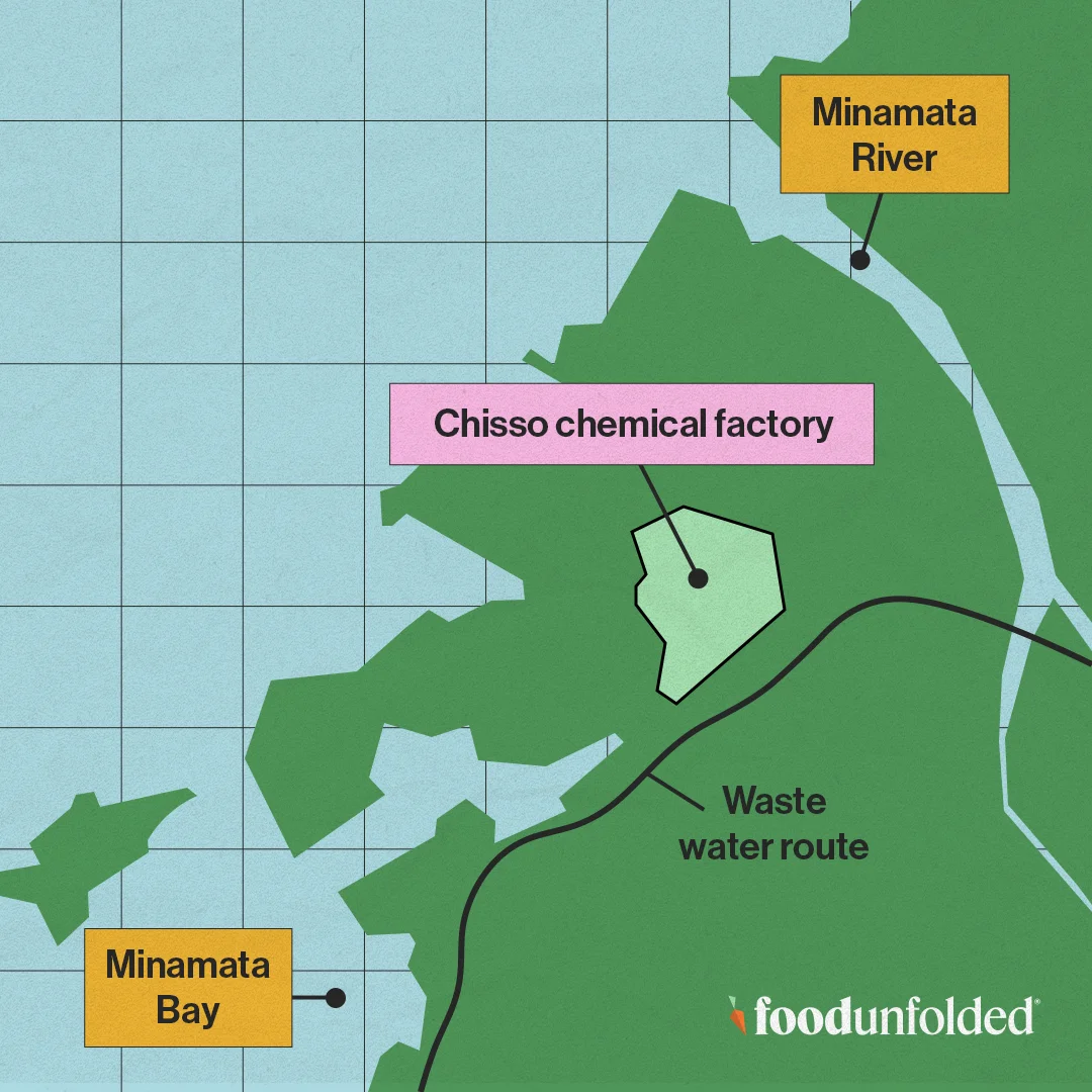 The Chisso factory and its wastewater routes.