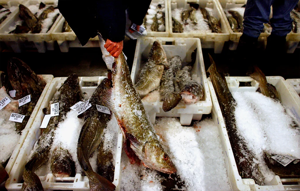 A Guardian Seascape analysis found that 36% of seafood across 30 countries was mislabelled.