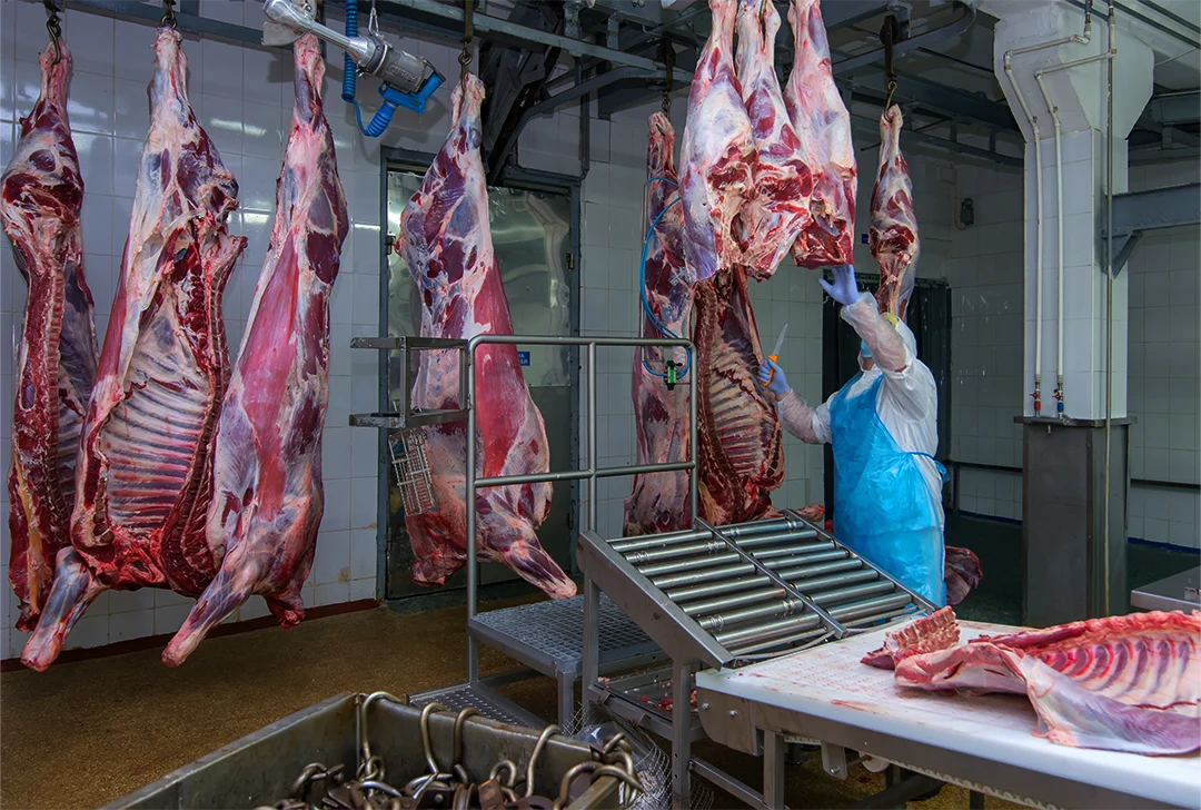 Most small or local abattoirs offer multi-species slaughter, which is key to keeping small, diverse farms going.