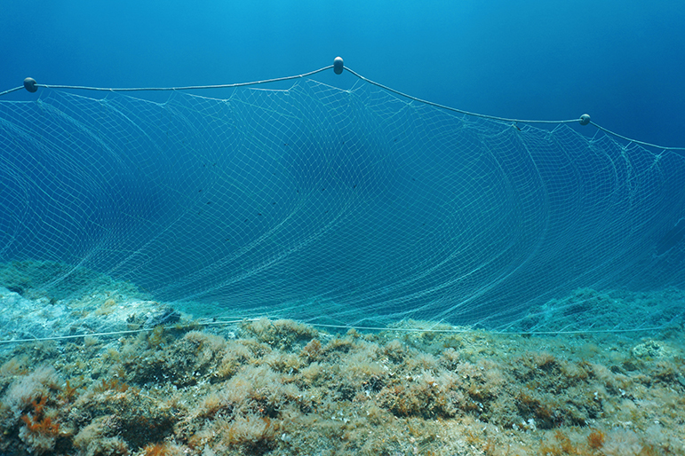 El impacto ambiental de las redes de pesca 